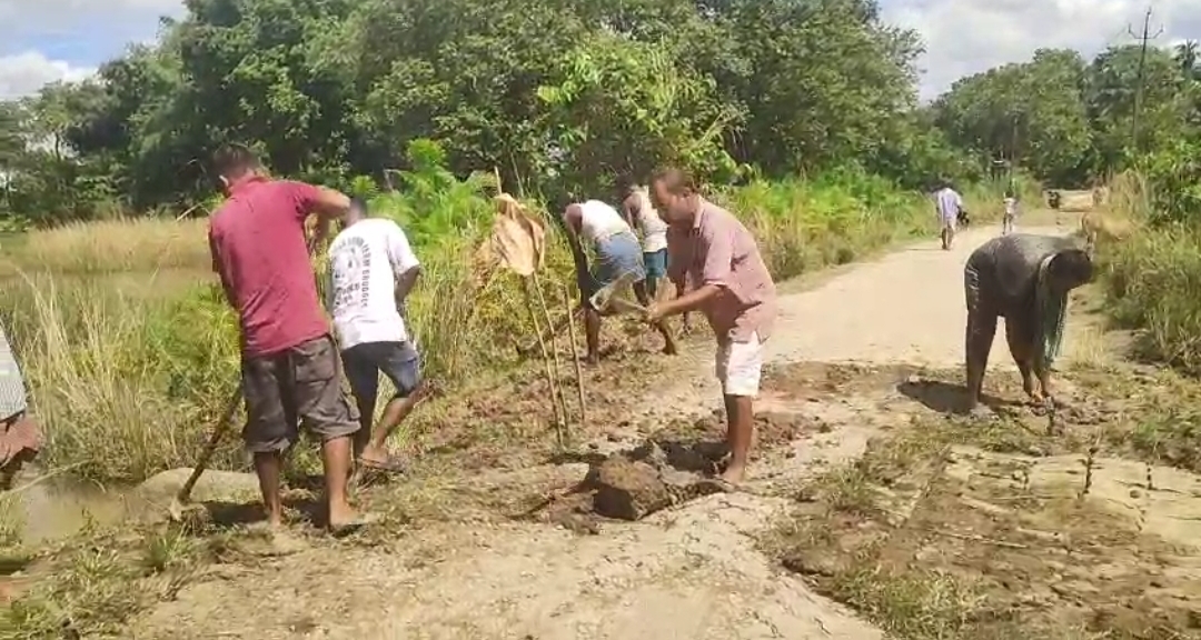 Dimow Residents Take Road Repairs Into Their Own Hands Amid Government Neglect