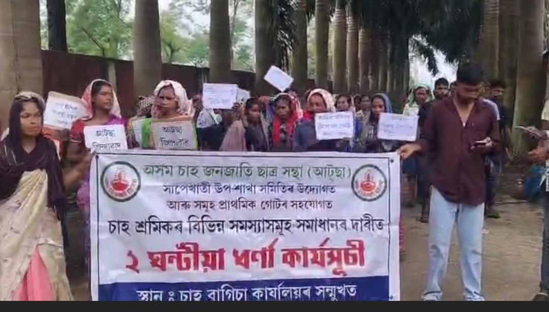 Tea Garden Workers Protest in Charaideo, Demand Better Medical Facilities and Ambulance Services