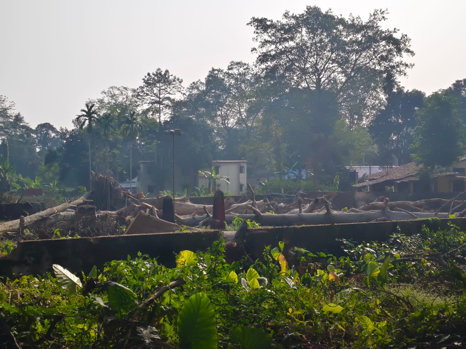 Restoration Work Begins at Historic British-Era Cemetery Inside ONGC Nazira Campus