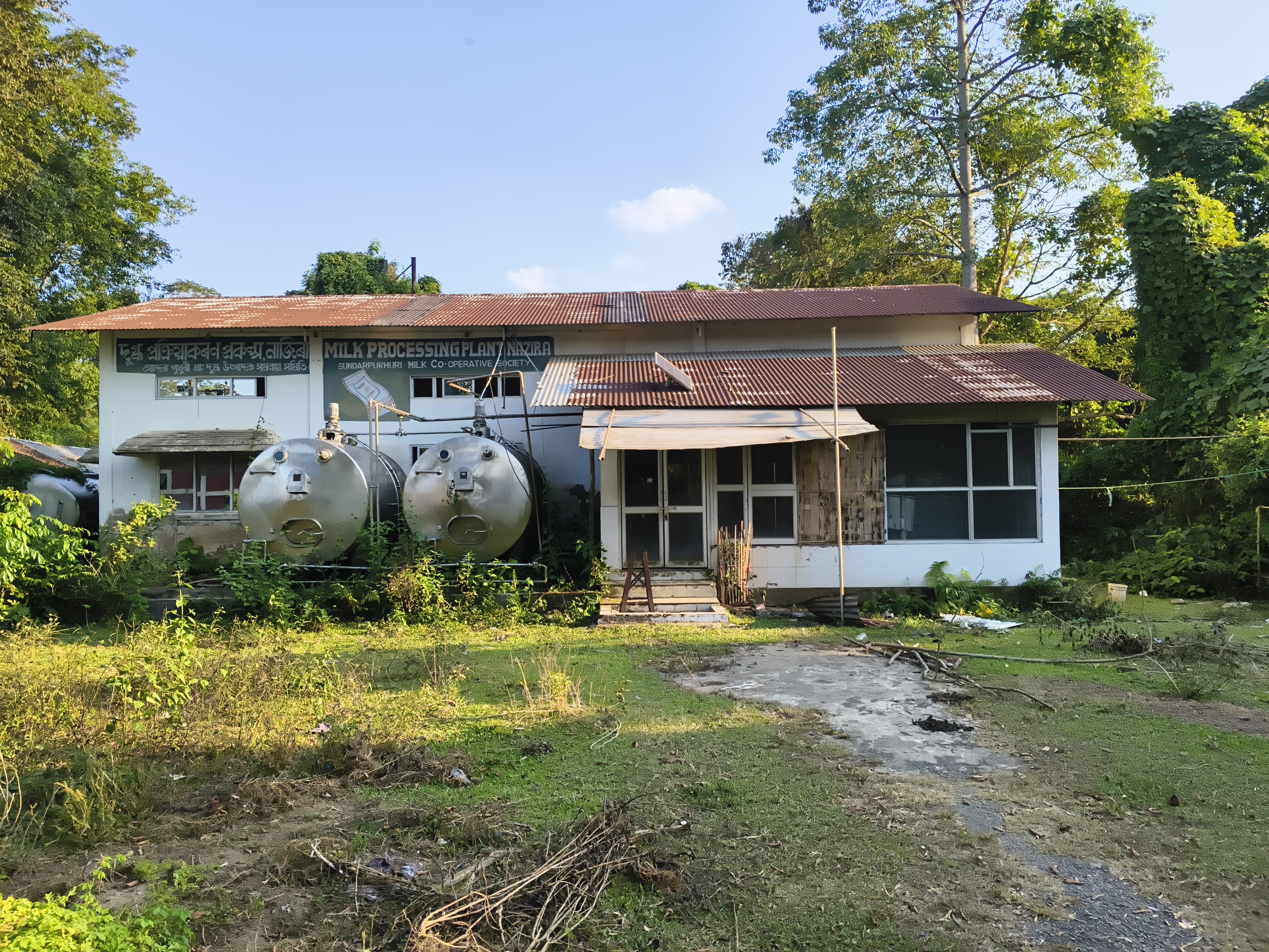 Nazira Dairy Project Collapses Amid Allegations of Mismanagement, Livelihoods Hit