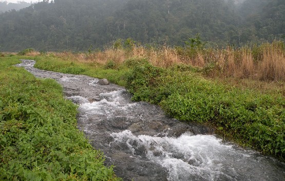 International wildlife delegation visits Jalimukh in Khalingduar Reserve Forest