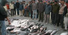 People throng at the city fish market on Uruka Day