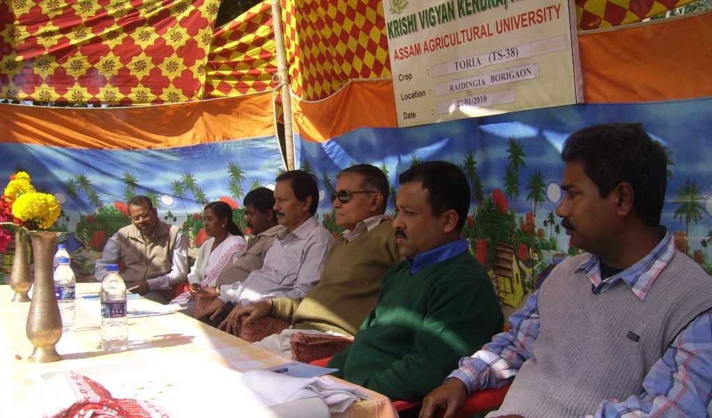 Field Day on Oilseeds organized by KVK, Nagaon