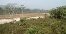 Save Barnadi Wildlife Sanctuary  campaign launched