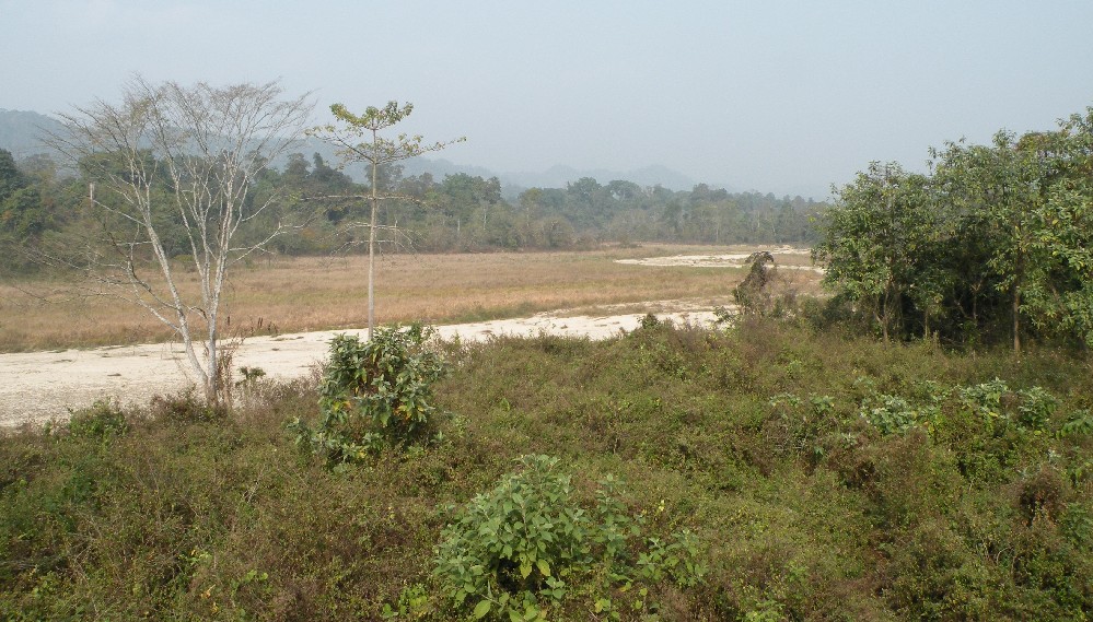 Save Barnadi Wildlife Sanctuary  campaign launched