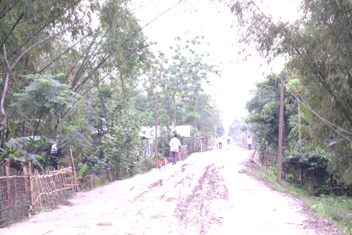 Majuli Majuli