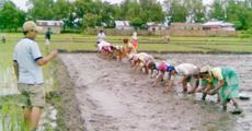 Efficient water use in Rice Production
