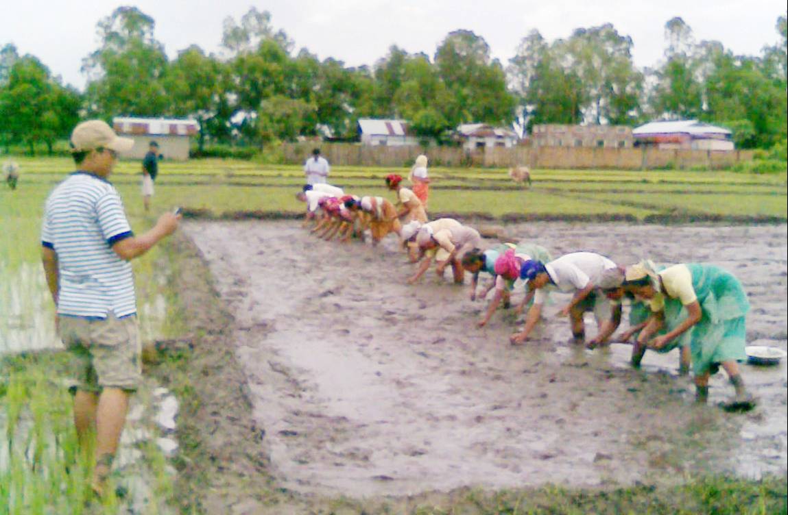 Efficient water use in Rice Production