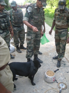 IED recovered in Udalguri district: money and wine for planting of IED