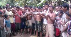 Python recovered at Langhin Pamgaon