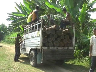 Intensive operation launched by Bakaliaghat forest, opened fire in blank