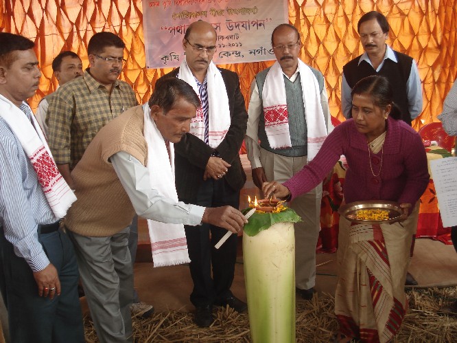 KVK Nagaon observe field-day