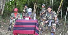 HPC(D) declares unilateral ceasefire