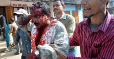 Tiger terror in Guwahati; leopard captured
