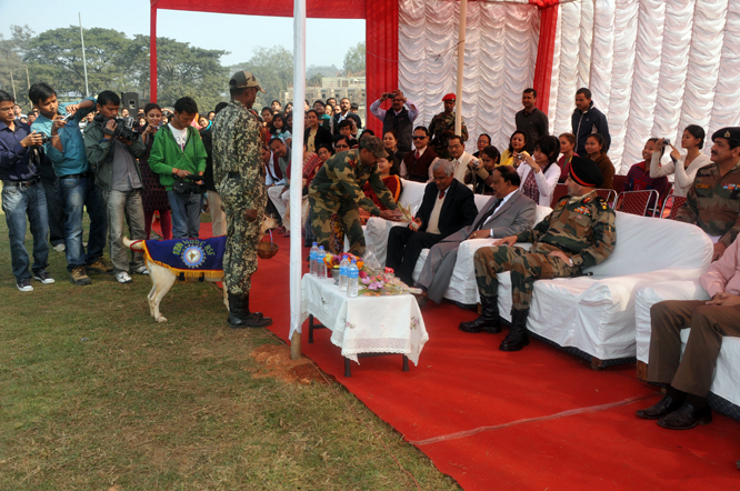 All-breed dog show held at AAU, Khanapara