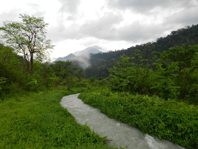 Problems of Khalingduar RF and Bornadi WLS discussed