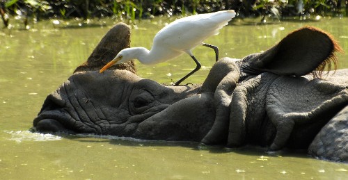 Need for biodiversity conservation