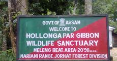 Enchanting Hoollongapar Gibbon Wildlife Sanctuary