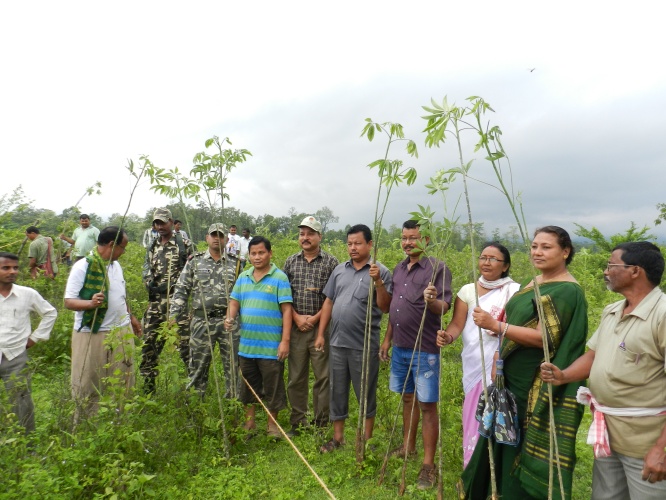 30 thousand tree planted near India-Bhutan border