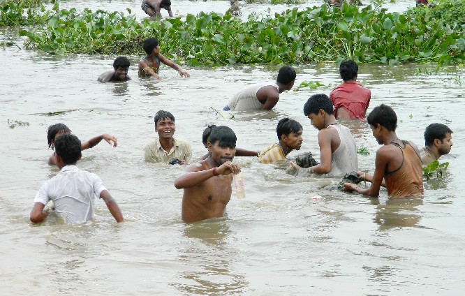 Watery grave in money fishing