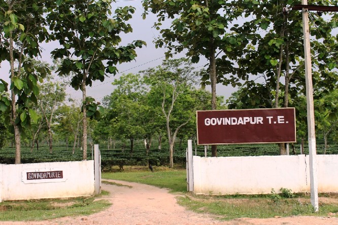 13 given life imprisonment for Rupak Gogoi murder case