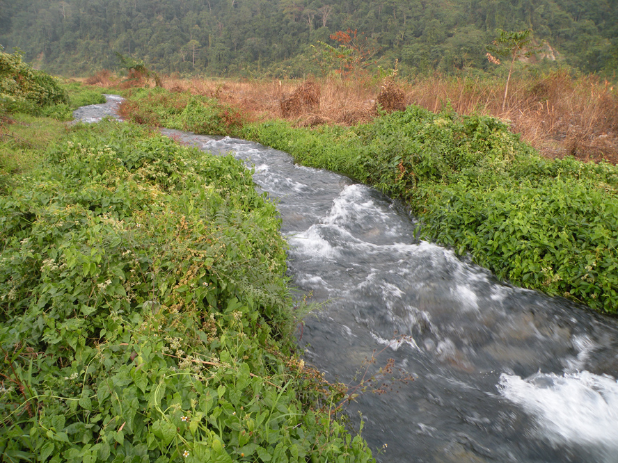 Call of wild Udalguri