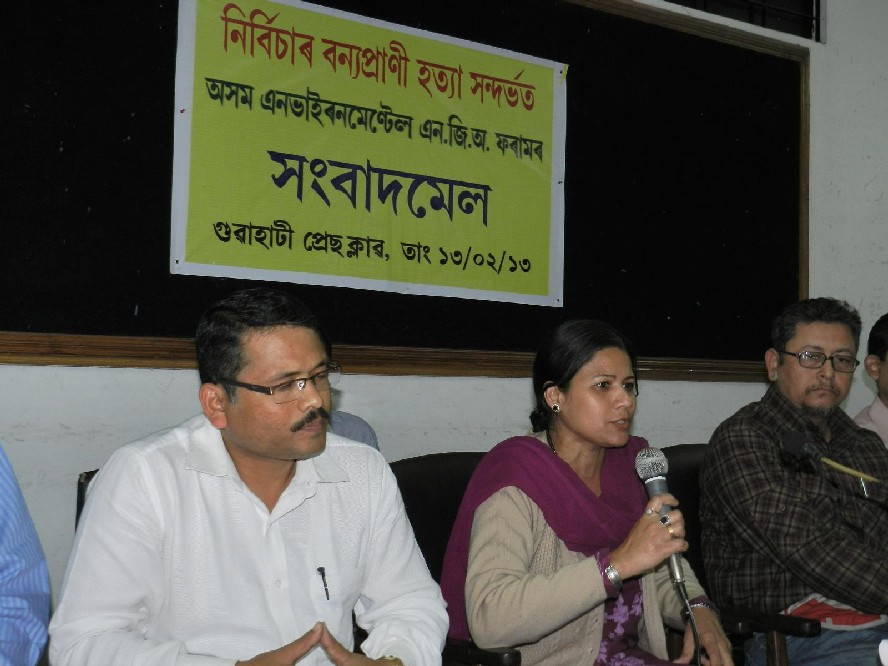 Environmental NGOs criticise forest policy