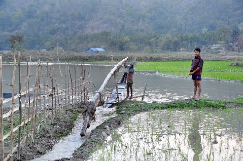 Assam photographer wins ICIMOD award