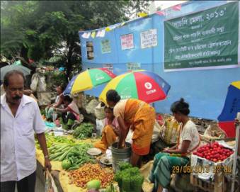 Pacholi Mela held