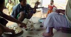 Mushroom industry and social enterprise