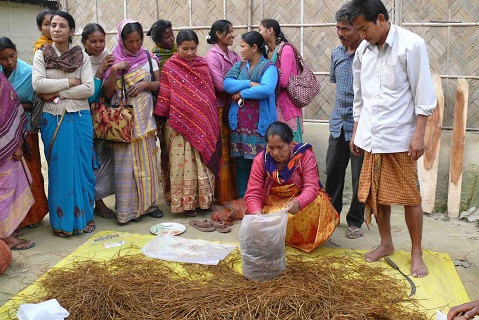 Women in Manas gears up for alternative livelihood source
