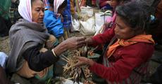 Junbeel mela draws huge response
