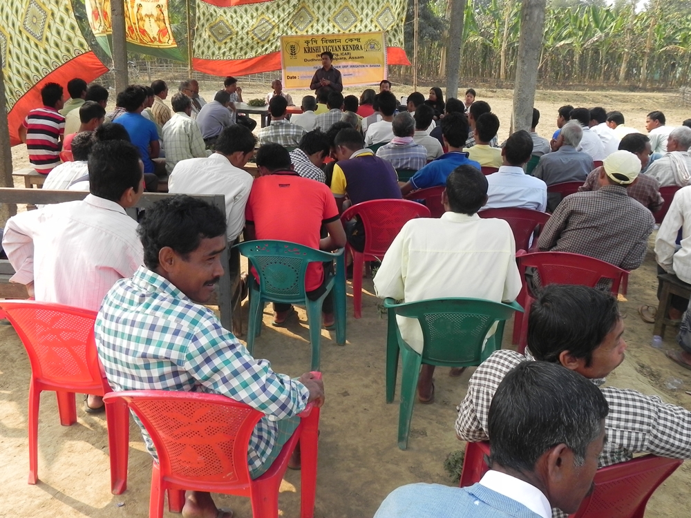 KVK Goalpara organizes Field Day in Dhanubhanga