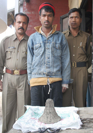 Rhino horn with poacher arrested at Nagaon