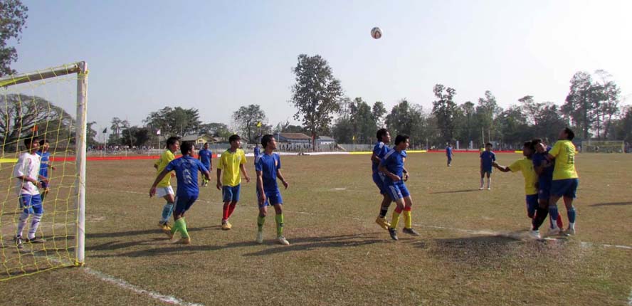Football promotes Asian elephants 